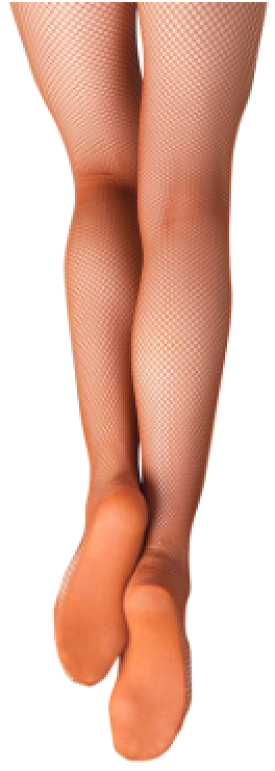 Capezio Professional Fishnet Tights