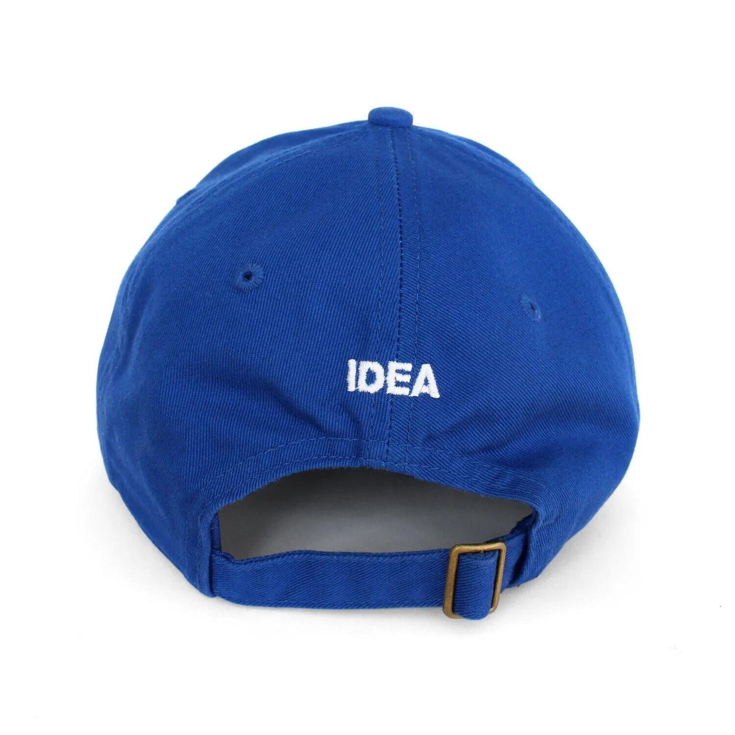 IDEA - Flight Risk Cap - Blue