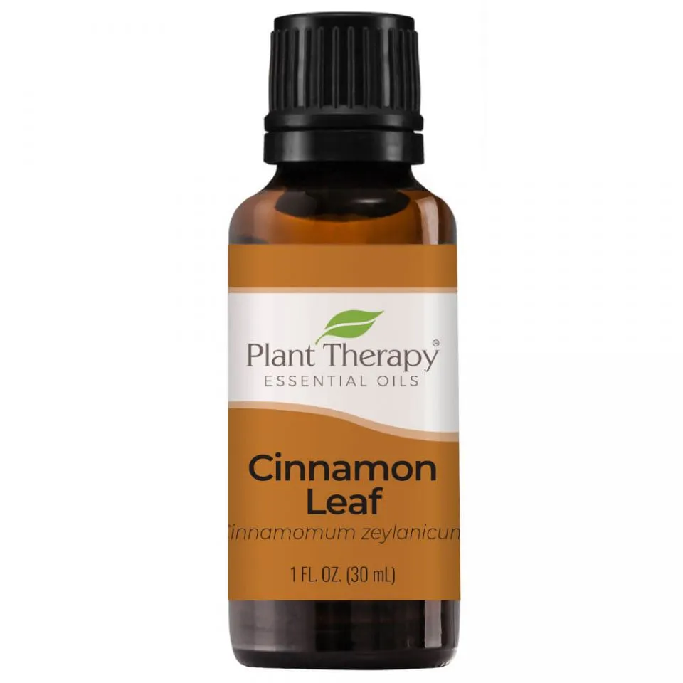 Plant Therapy Cinnamon Leaf Essential Oil