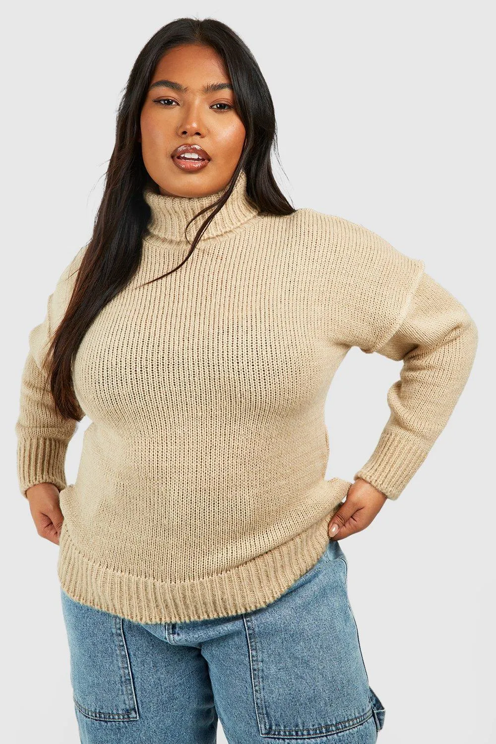 Plus Soft Knit Turtleneck Sweater